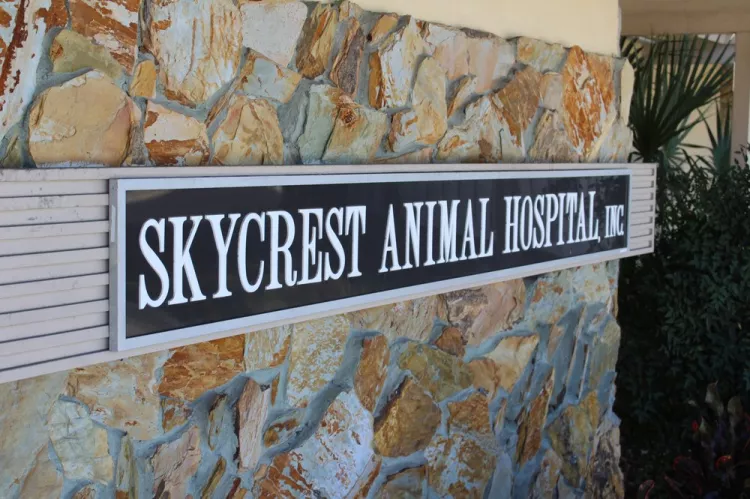 Skycrest Animal Hospital, Florida, Clearwater